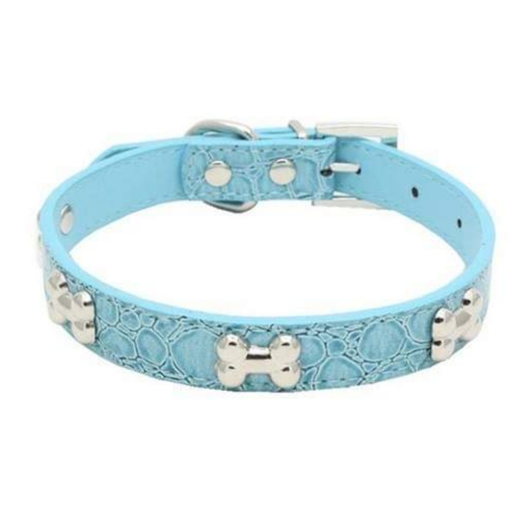 Blue Medium Dog Collar